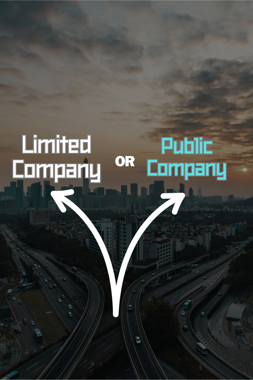Limited Company Vs Public Company